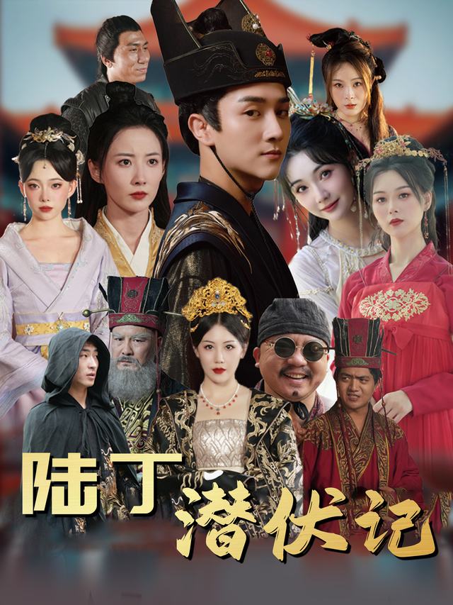 陆丁潜伏记封面
