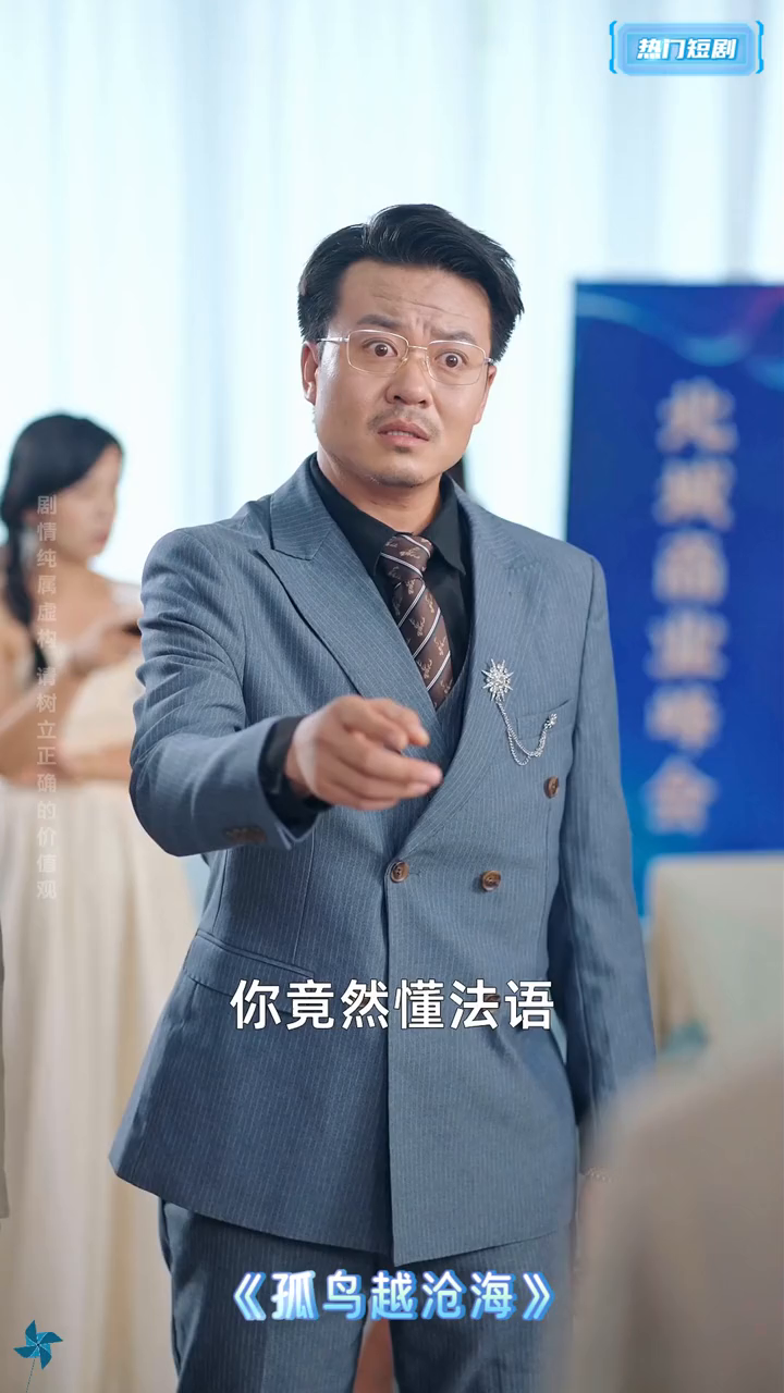 孤鸟越沧海封面