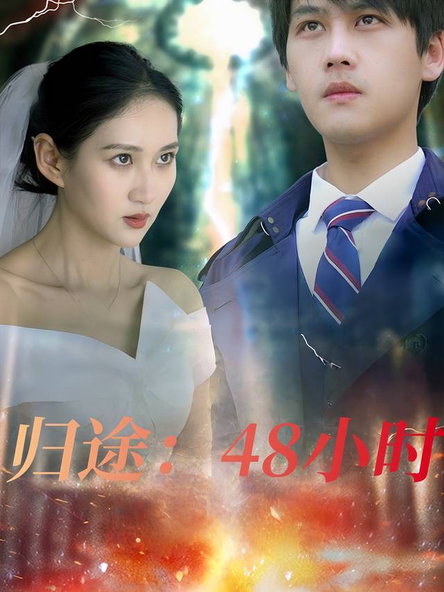 归途:48小时封面