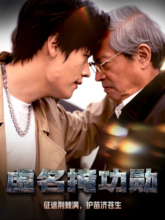 我的勋章封面