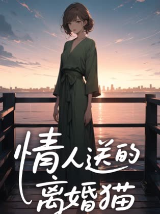 情人送的离婚猫封面