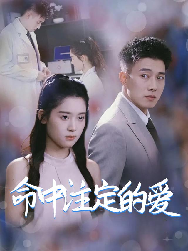 命中注定的爱封面