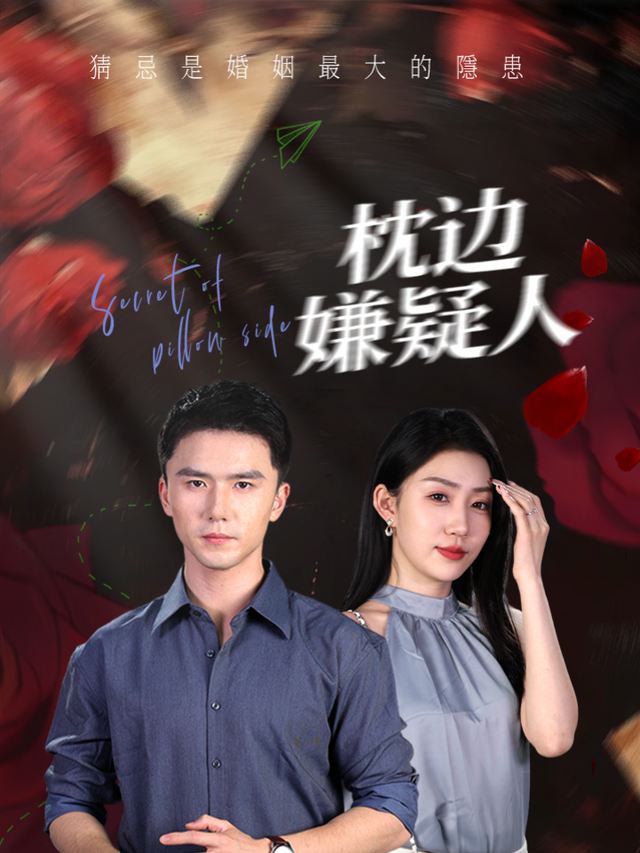 枕边嫌疑人封面