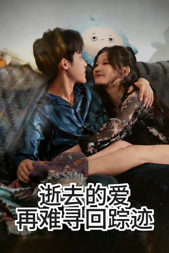 逝去的爱再难寻回踪迹封面