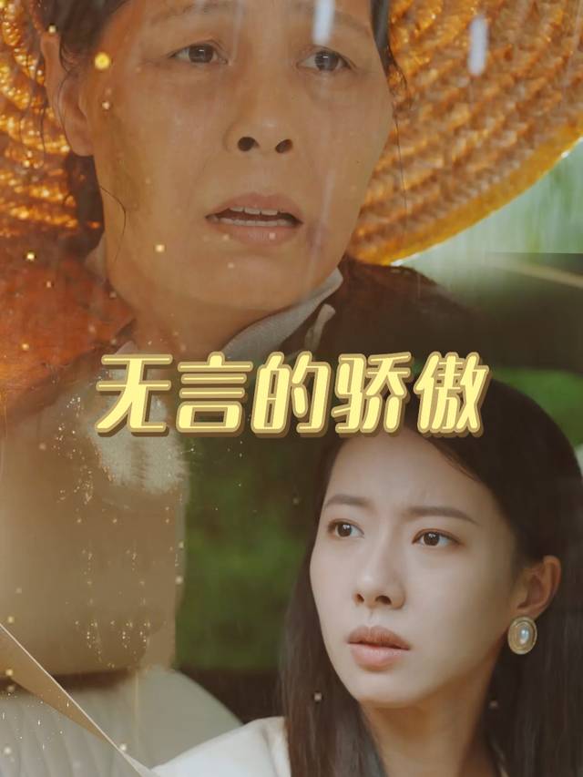 无言的骄傲封面
