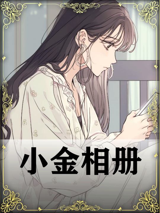 小金相册封面