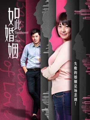 合集 · 如此婚姻(中)封面