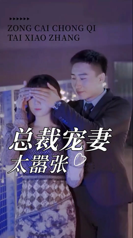 总裁宠妻太嚣张封面