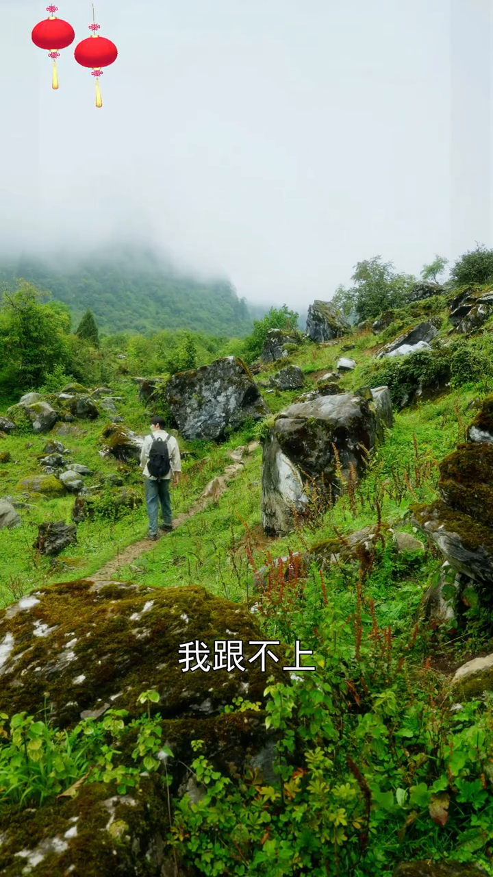 等花盛开封面