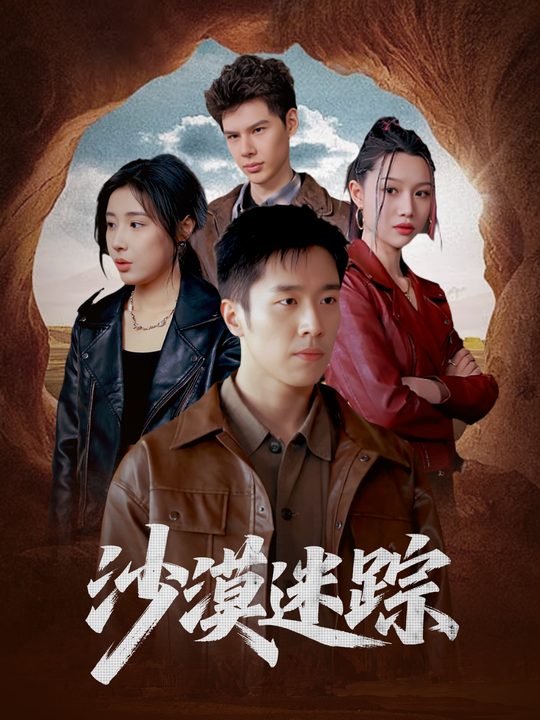 沙漠迷踪封面