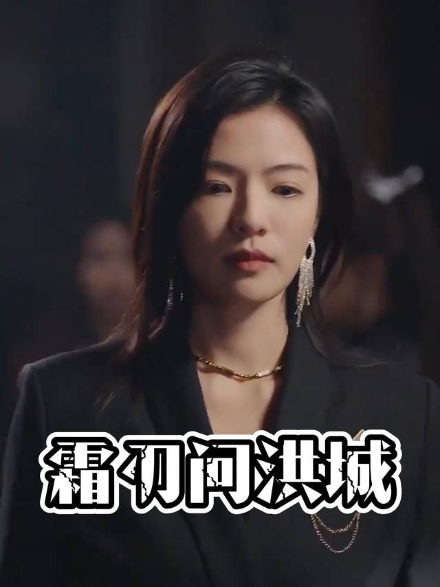 霜刃问洪城封面
