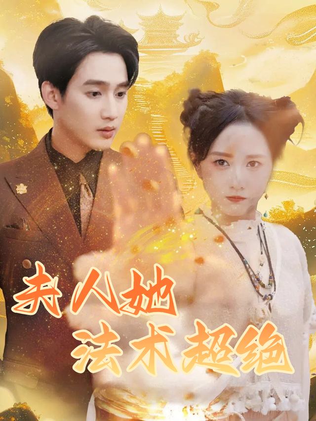 夫人她法术超绝封面