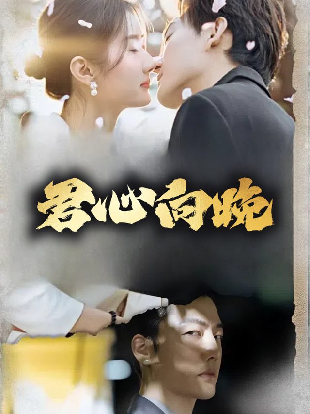 君心向晚封面