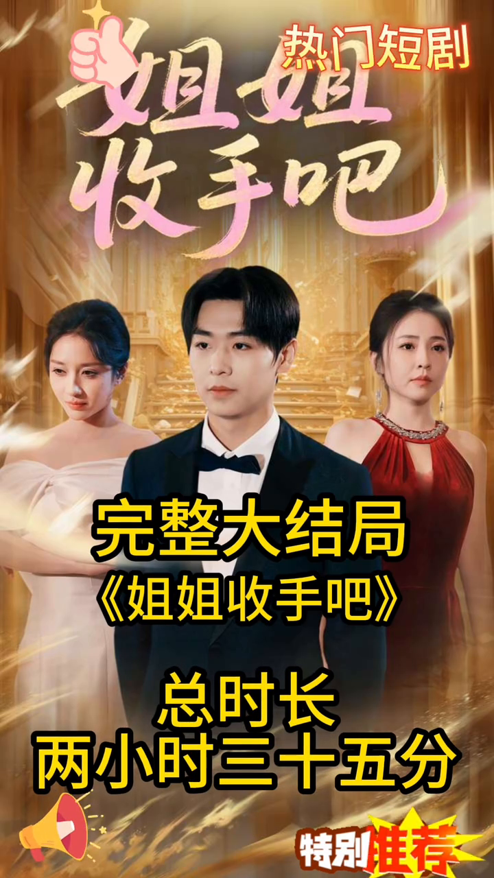 姐姐收手吧封面
