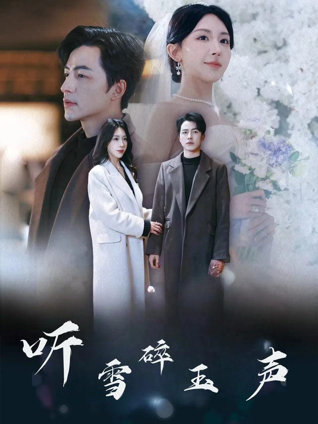 听雪碎玉声封面