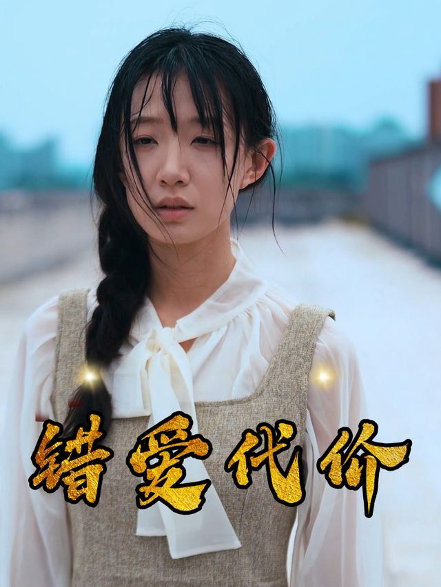 错爱代价封面