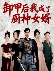 卸甲后我成了厨神女婿封面