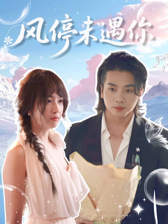 风停未遇你封面