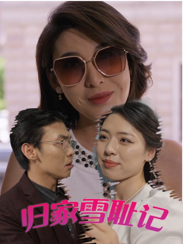 归家雪耻记封面