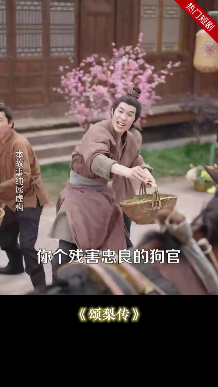 颂梨传封面