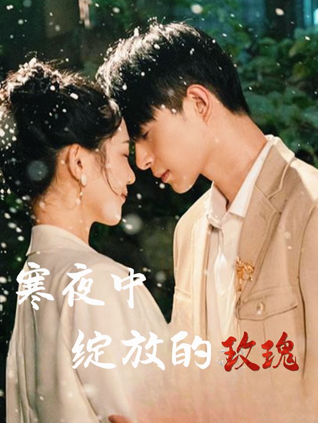 寒夜中绽放的玫瑰封面