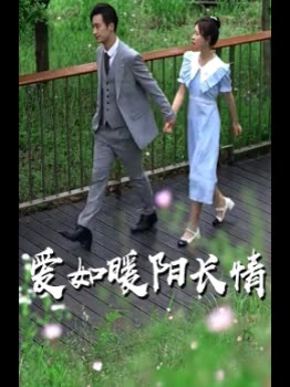 爱如暖阳长情封面