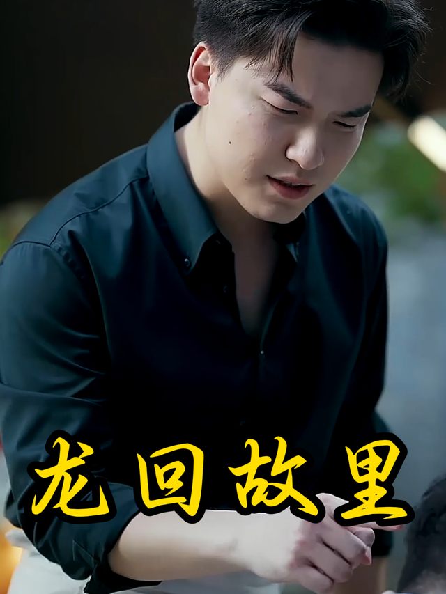 龙回故里封面