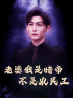 老婆我是暗帝不是农民工封面