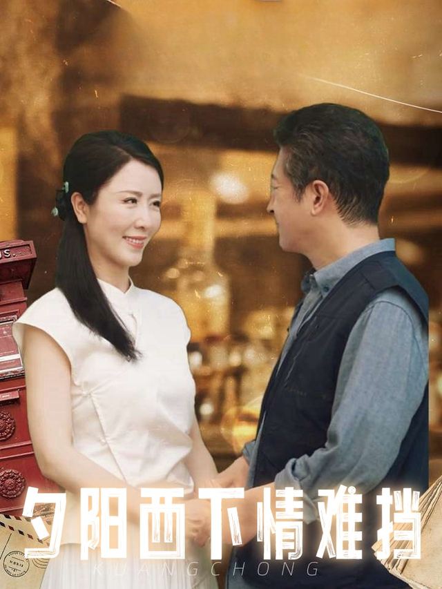 夕阳西下情难挡封面