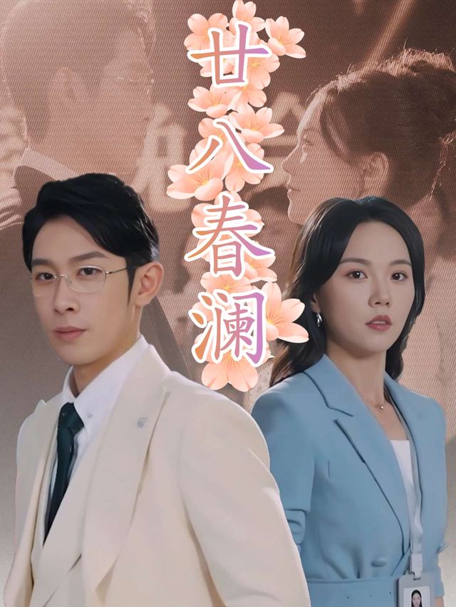 廿八春澜封面