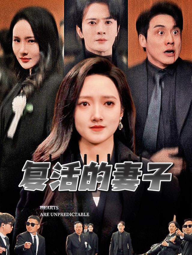 复活的妻子封面
