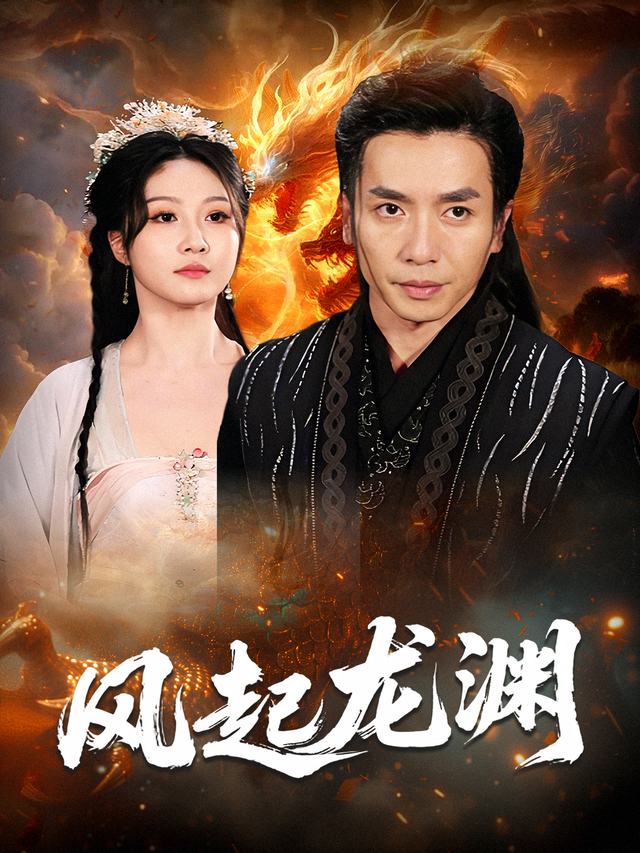 风起龙渊封面