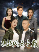 决战风云之巅封面
