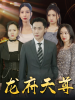 龙府天尊封面