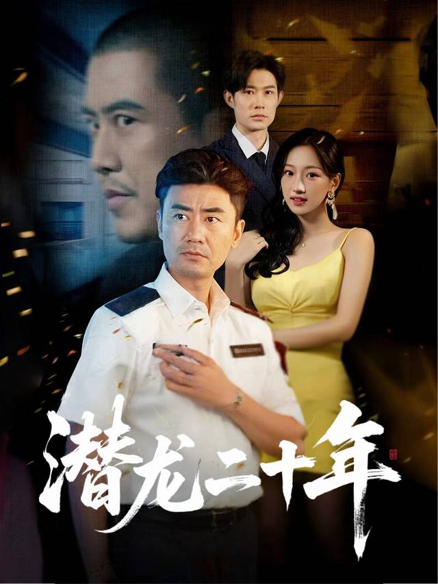 潜龙二十年封面