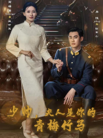 少帅,夫人是你的青梅竹马封面