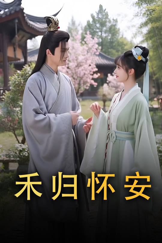禾归怀安封面