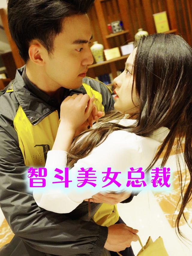 智斗美女总裁封面