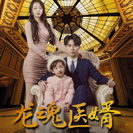 龙魂医婿封面