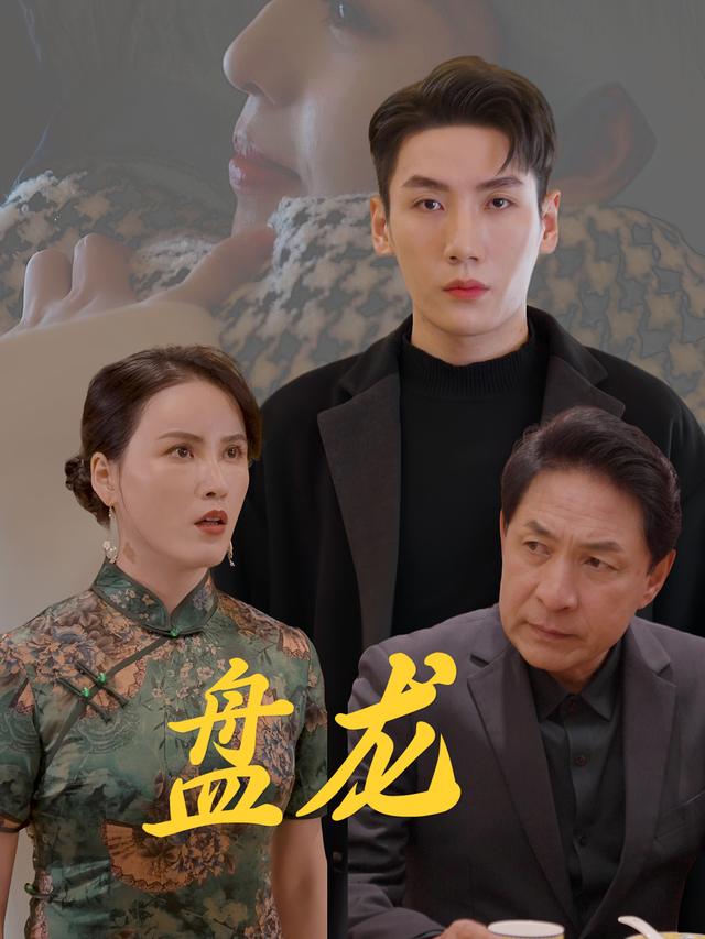 盘龙封面