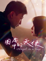 圈套中的天使封面