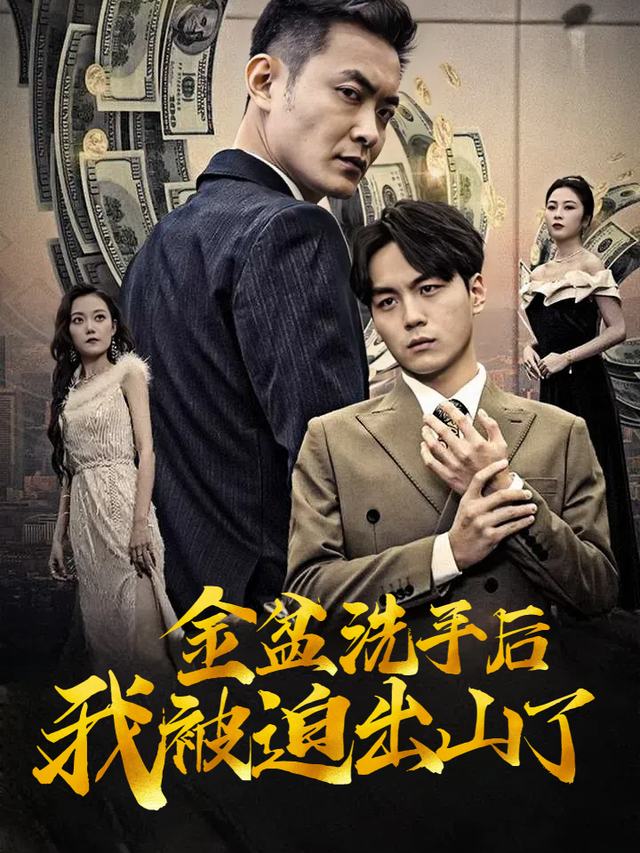 金盆洗手后我被迫出山了封面