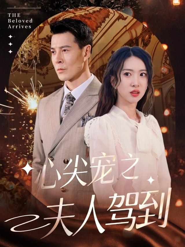 心尖宠之夫人驾到封面