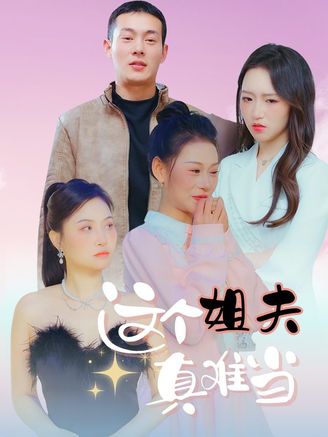 这个姐夫真难当封面
