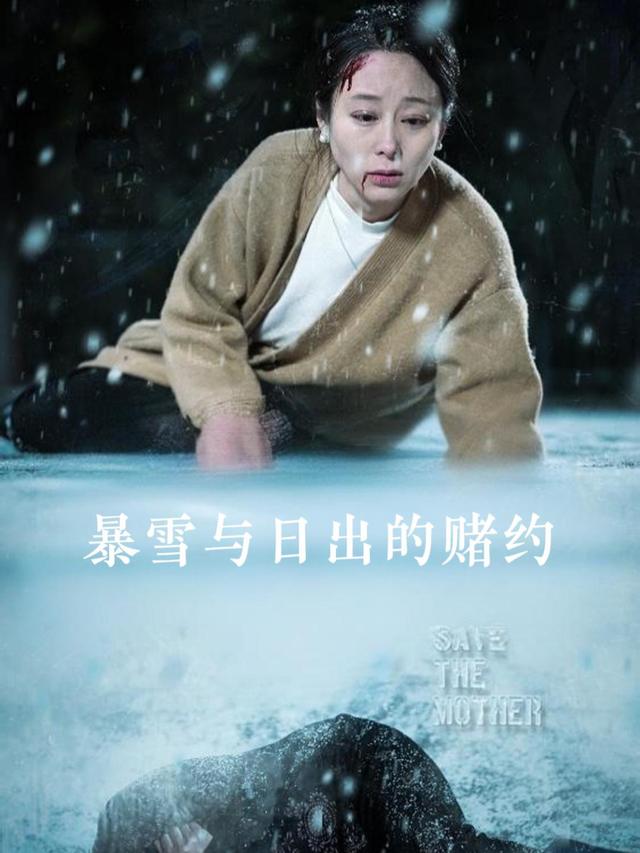暴雪与日出的赌约封面