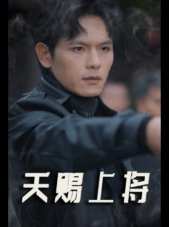 天赐上将封面