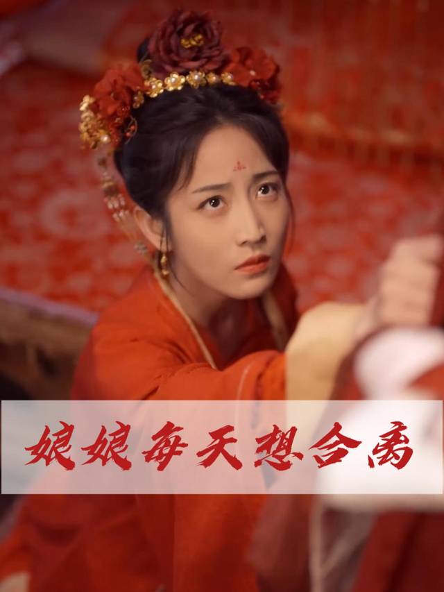 娘娘每天想和离封面