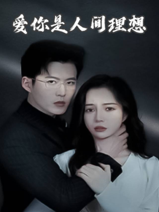 爱你是人间理想封面