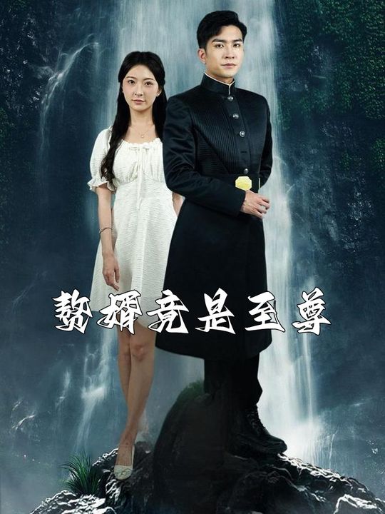 赘婿竟是至尊封面