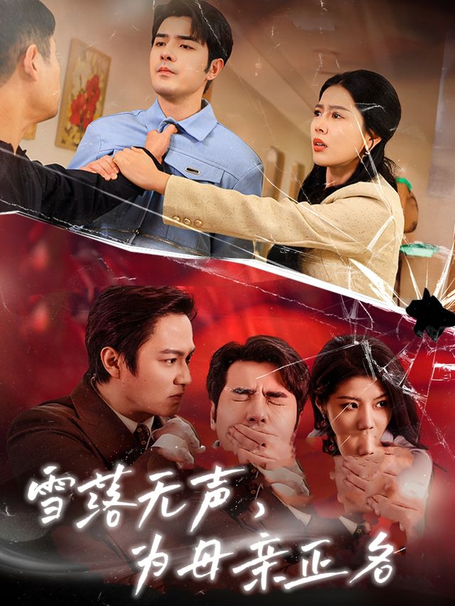 雪落无声,为母亲正名封面
